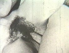Le porno de grand-m�re.